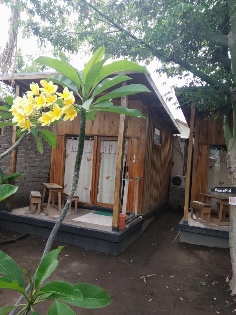גילי טרוונגן Beach Box Bungalow מראה חיצוני תמונה