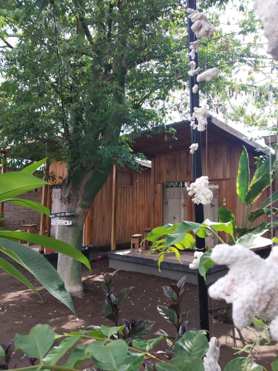 גילי טרוונגן Beach Box Bungalow מראה חיצוני תמונה